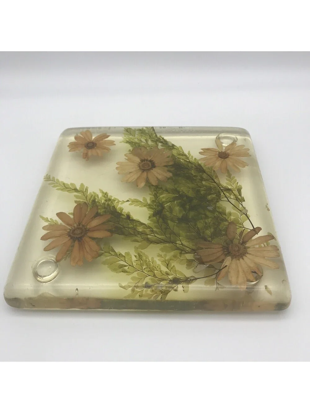 Vintage Acrylic Resin Trivet Daisy Fern Dried Flowers 7.75” Square MCM Footed